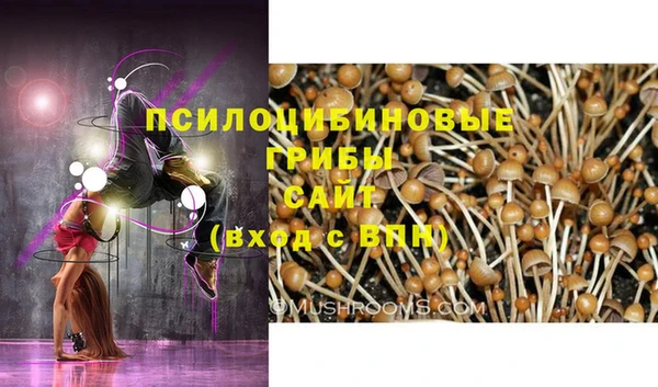 ПСИЛОЦИБИНОВЫЕ ГРИБЫ Белокуриха