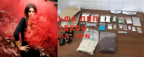 PSILOCYBIN Белоозёрский