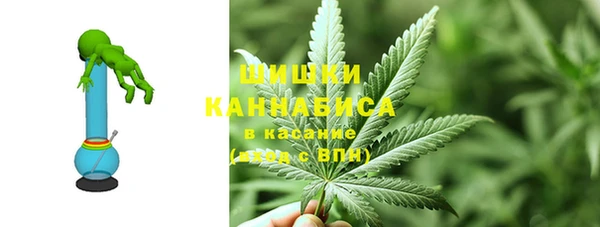 ПСИЛОЦИБИНОВЫЕ ГРИБЫ Белокуриха