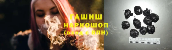 гашик Балахна