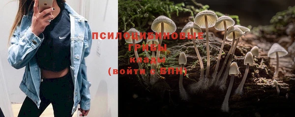 PSILOCYBIN Белоозёрский