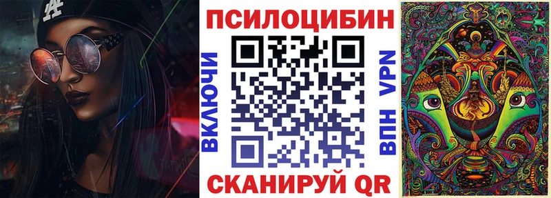 omg ССЫЛКА  Теберда  Галлюциногенные грибы Psilocybe 